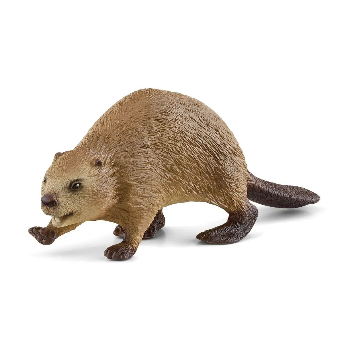 SCH22 Figurine PVC SCHLEICH Animaux : 14855 Castor, Biber, Beaver 9cm