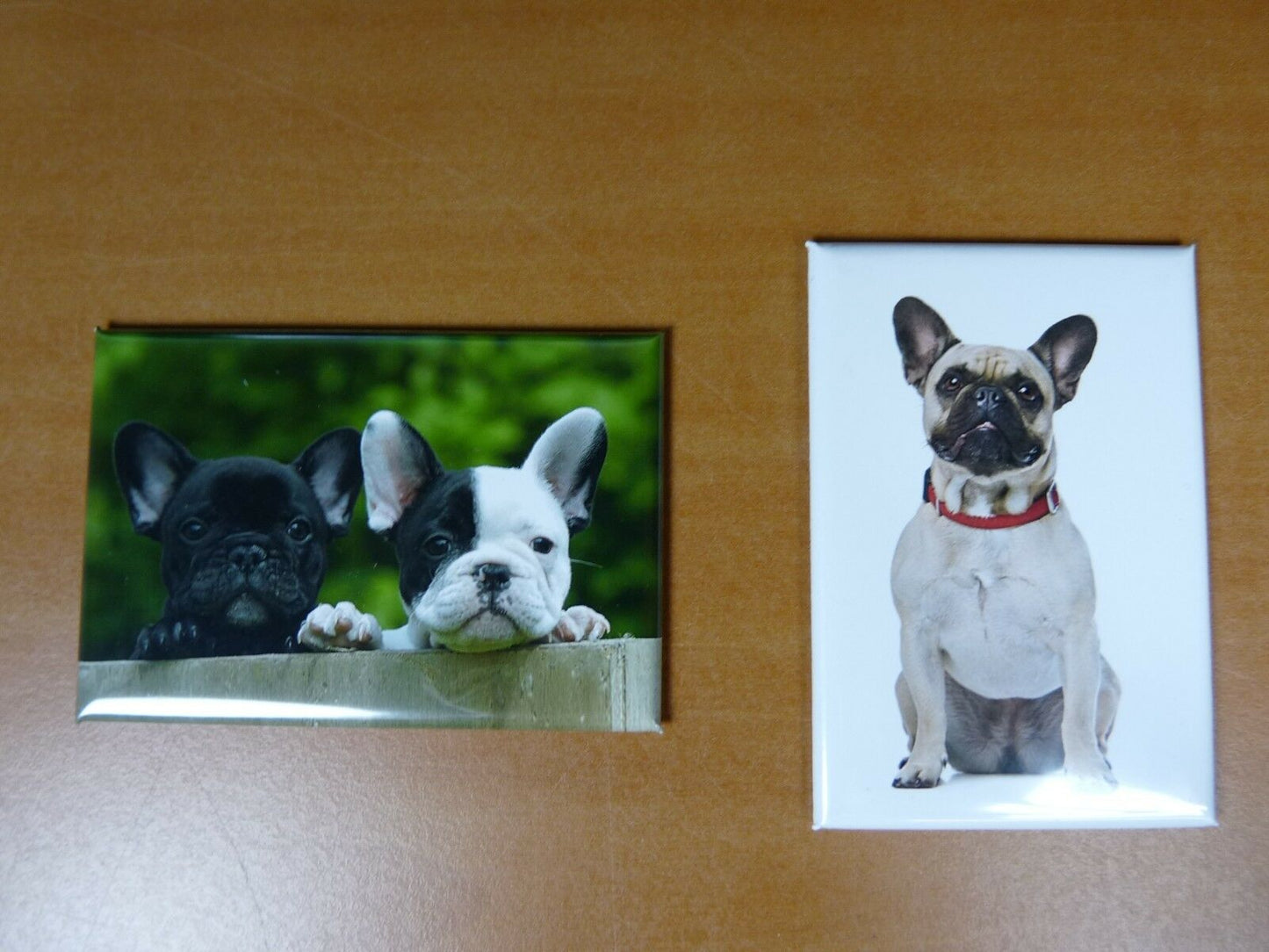lot 2 Magnets aimant 7,8 cm X 5,3 cm CHIENS CHIOTS : BOULEDOGUE FRANCAIS 1/2