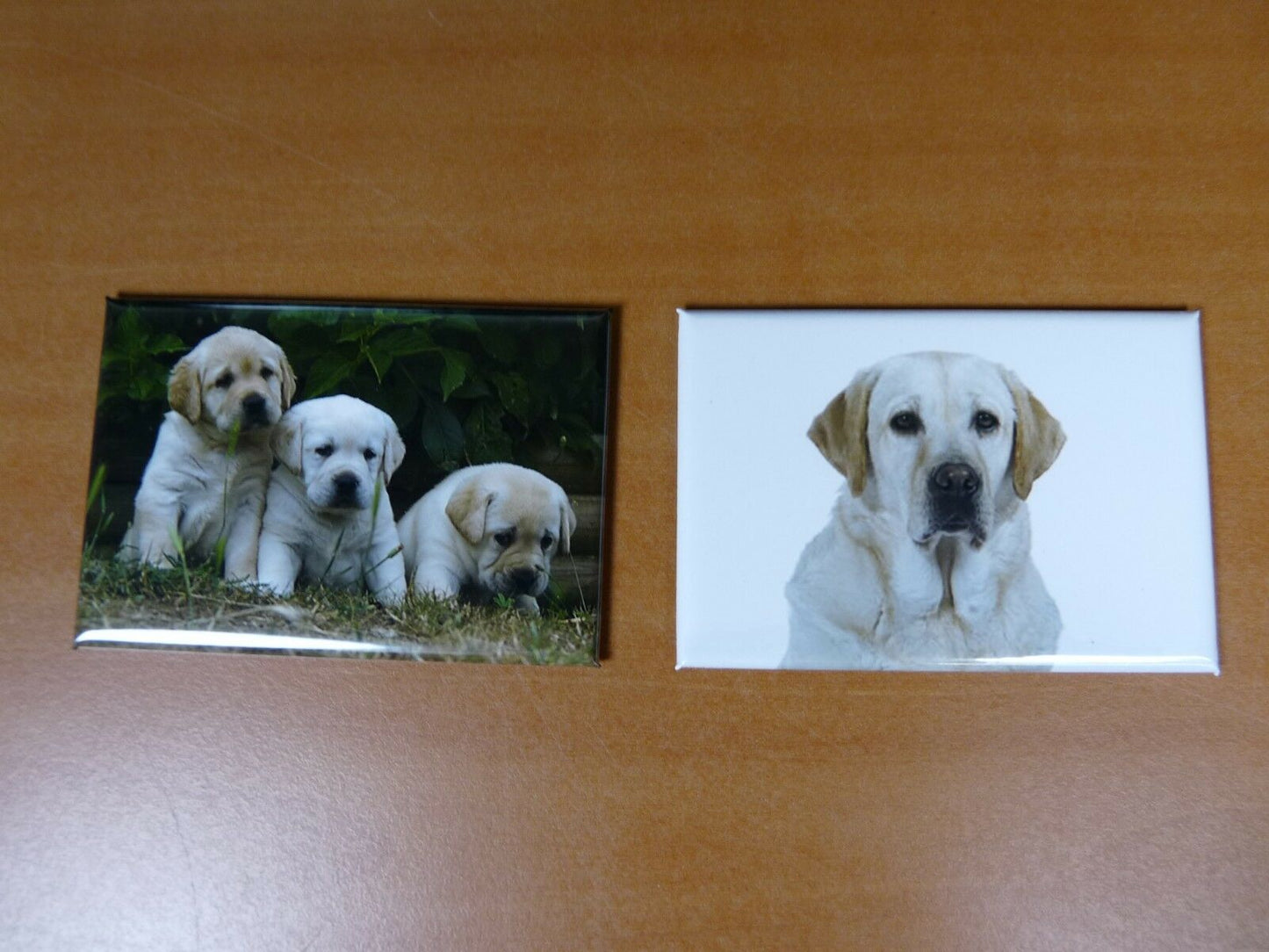 lot 2 Magnets aimant 7,8 cm X 5,3 cm CHIENS CHIOTS : LABRADOR 15/16