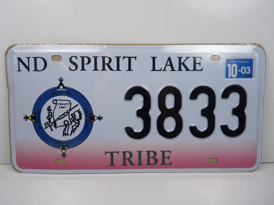 PA137 PLAQUE métal immatriculation AMERICAINE USA 15 X 30 cm : ND SPIRIT LAKE