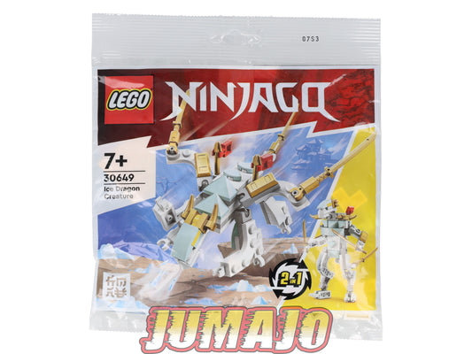LEG6 Figurine Polybag LEGO Ninjago 70 pièces Ice Dragon Creature 30649 n°11 2 in 1