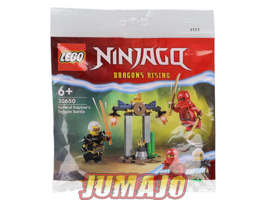 LEG7 Figurine Polybag LEGO Ninjago 47 pièces : Kai & Rapton Temple battle 30650