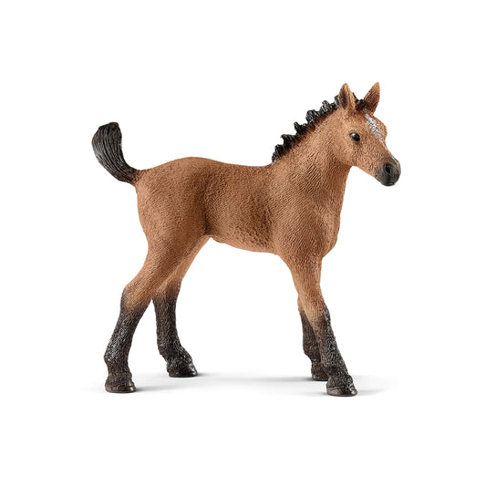 SCH20 Figurine PVC SCHLEICH Animaux : 13854 Poulain quarter horse 8cm