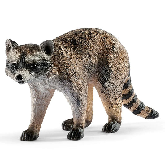 SCH51 Figurine PVC SCHLEICH Animaux 14828 Raton laveur 3.5cm