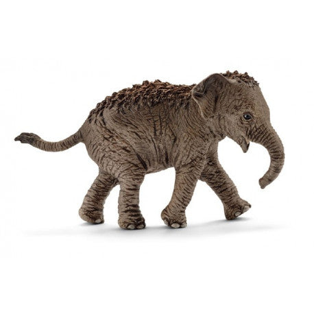 SCH9 Figurine PVC SCHLEICH Animaux : 14755 Éléphant d'asie bébé 7cm
