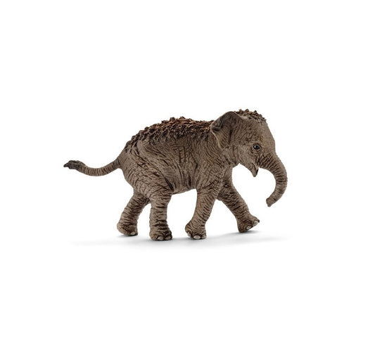 SCH9 Figurine PVC SCHLEICH Animaux : 14755 Éléphant d'asie bébé 7cm