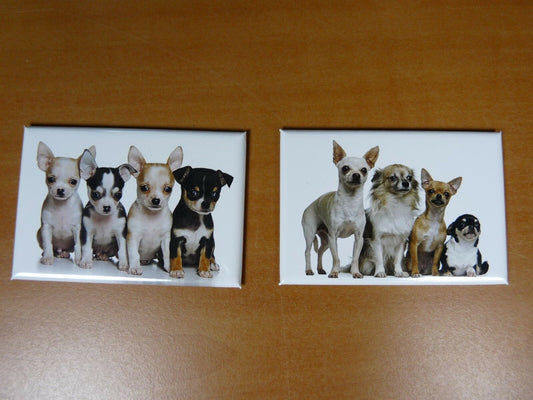 lot 2 Magnets / aimants 7,8 cm X 5,3 cm CHIENS CHIOTS : CHIHUAHUA 6/7