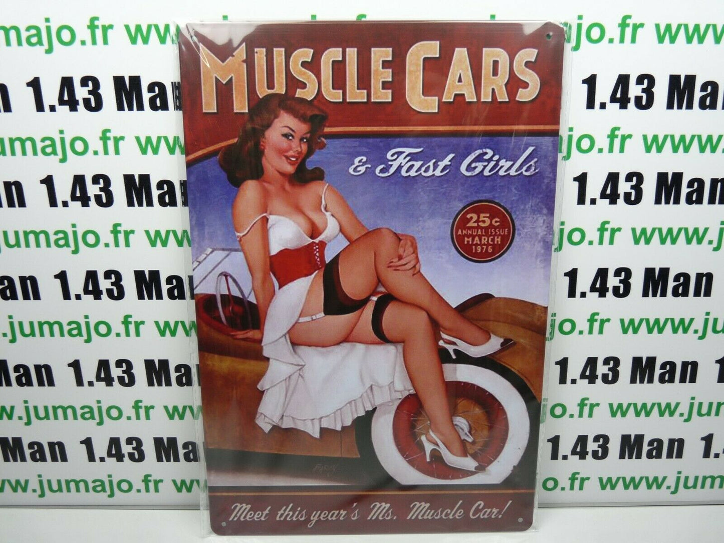 PA15 PLAQUES TOLEE vintage 20 X 30 cm : Pin'up Muscle Cars & Fast Girls
