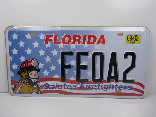 PA133 PLAQUES TOLEE métal immatriculation AMERICAINE USA 15 X 30 cm : FLORIDA